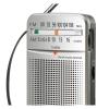 Panasonic RF-P50D Portable Radio -4569-01
