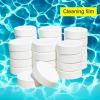 Sanitize Pool Water With Chlorinating Tablet GM58000-11046-01