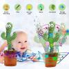 Talking And Dancing Cactus Toy-7172-01