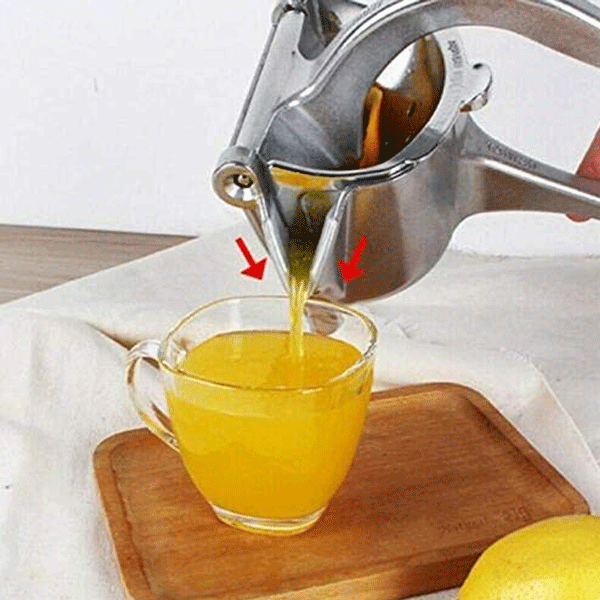 Heavy Duty Manual Fruit Juicer And Squeezer-10929