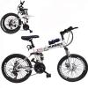 Wire Hummer 20 Inch Bicycle GM26-6-w01