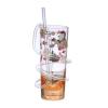 Royalford RF6167 Transparent Acrylic Glass with Straw01