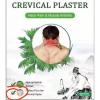 Neck Pain And Muscle Arthritis Cervical Plaster01