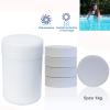 Sanitize Pool Water With Chlorinating Tablet GM5800001