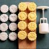GO HOME 6 IN 1 CREATIVE DESIGN MOON CAKE COOKIE MAKER MOULD01