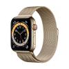 Apple Watch Series 6 40 mm GPS+ Cell Gold Steel01