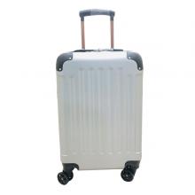 MDL-1902 Travelling Trolley Bag 20-Inch, Silver-LSP