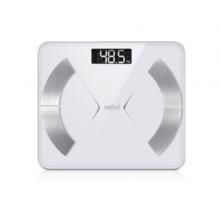 Sanford Bluetooth Body Fat Monitor Scale- SF1524FPS03