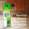 Dettol Disinfectant Spray Morning Dew, 450ml-1781-01