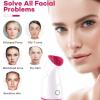 Facial Steamer-11078-01