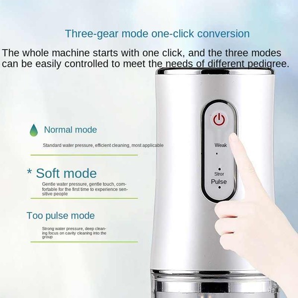 Convenient Flushing Device Water Flosser-7511