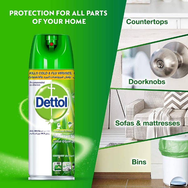 Dettol Disinfectant Spray Morning Dew, 450ml-1778