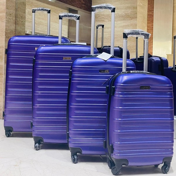 Travel Mate 4 pcs Purple Hard Trolley Set-5331