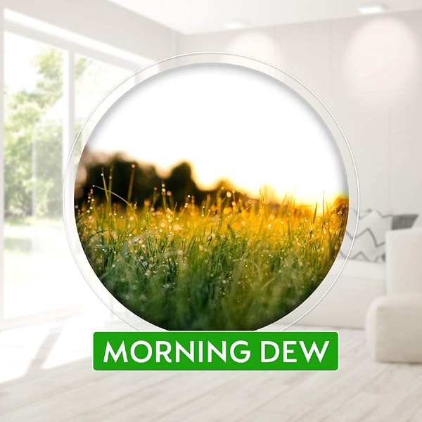 Dettol Disinfectant Spray Morning Dew, 450ml-1779