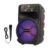 Hamilton HT-6601 Portable Speaker01