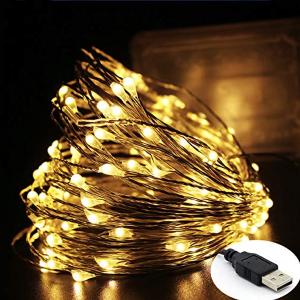 2021 TOP SELLING LED FIREFLY STRING FAIRY LIGHT WARM WHITE WITH USB CONNECTOR 10M 100 LEDS-HV