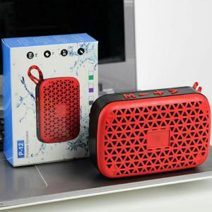 P-12 Portable Speaker-HV