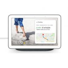 Google Nest Hub-LSP